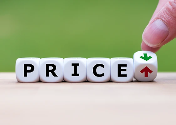 eLearning Pricing